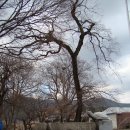 양떡음떡마을 이미지