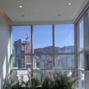 아이노유성형외과의원 | 포토존 연출/ 핑크뮬리 연출/ 성형외과 포토존/ 병원 조경/ 병원조경업체