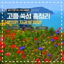 경보사우나 | 2026 고흥 쑥섬 수국 개화상황 + 별정원 지금 꽃 절정 | 배편·주차·포토존·동선꿀팁 완벽정리