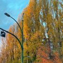 만세집밥 | D+531~540 : 코워커들과 미리 즐긴 크리스마스 마켓, 집밥 기록, 바리스타 일상, 소소한 쇼핑 득템