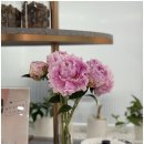 건강드림한의원 이미지