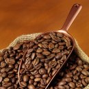 청미담의 커피 이야기-커피 품종과 커피 맛 이미지