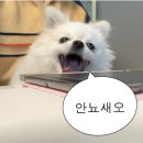 한복제작(기초) | 국립대구박물관 특별전 <사람과 땅, 지리지에 담다> 후기