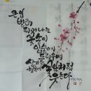 서예&캘리 이미지