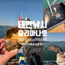 다시 방문할 의사 200%! 태안배낚시 안면도 줄리아나호 우럭 낚시 후기