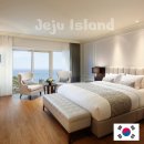 (주)호텔롯데 롯데호텔제주 | 제주 롯데호텔 제주 완벽 호캉스 후기! 할인 예약 꿀팁 대방출