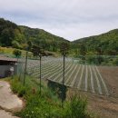 두산1리마을회관 이미지