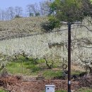 천지배농장 이미지