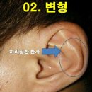 신호상사 네이버블로그