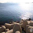 통영관광안내소 이미지