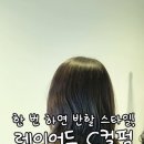 살롱드밍 이미지