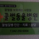 꿀벌 동물병원 Daum카페