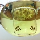 정표농장 이미지