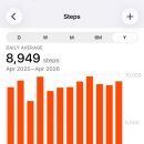 퍼피트랙 | 나혼자 다이어트(5) 간헐적단식 365일 꼬박1년 후기, 변화와 한계.. 그럼에도 불구하고