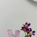 [공지] 안산 라임 슬림환 한방다이어트환 후기
