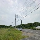 숨쉬는고래부산 | [숨쉬는고래 제주] 드디어 가본 숨쉬는고래 제주 요가원 후기!!
