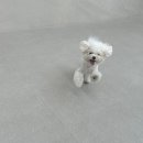 희봉선생 이미지