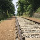 선비꼬마김밥 서울천왕점 이미지