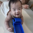 똥그리몰