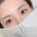 속눈썹하다