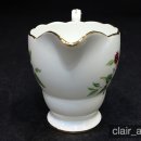 도그 블라썸 이미지