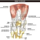 VIP퍼스널 운동센터 이미지