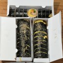 마녀참치 | 광화문 김밥 배달 맛집 청담동마녀김밥 키토김밥 묵은지참치 내돈내산 후기