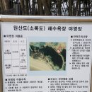 원산도 소록도 야영장 이미지