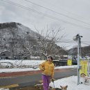 연들레