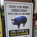 산지태 소양념갈비