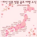 벚꽃시즌! 후쿠오카 시내 3색 골프 - 청주/김해/대구 출발 이미지