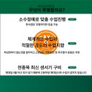 (부천 / 인천 ㅡ＞상동역1분거리 ) 체력 만점잡고 가자! // 선착순 모집 // 야간반 증설 이미지