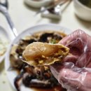 비요르크 이미지