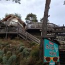 소나무이야기 펜션 이미지