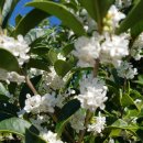 농원농장 이미지