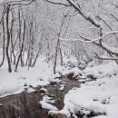 마장터~새이령산행(홍만표님 께서 보내 주신 사진입니다) 이미지