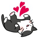 우주펫애견미용 이미지