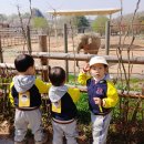 이안키즈어린이집 이미지