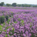금호강변공원 화장실 이미지