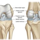 이재규 스포츠 재활 이미지