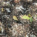 인천남동승마클럽 이미지