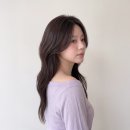 팔도미용실 티스토리