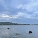 키즈 엘리트 | 포항 더엘리트 키즈풀빌라 후기