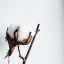 아이템아이 이미지