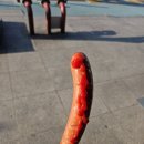 빅토리야 | 시골쥐의 서울 체험기