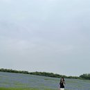우유농가