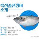 인생스시 - 수성구 청수로35길 79 | 인생스시