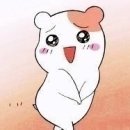 비비나라 이미지