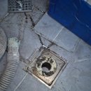 미주세탁 이미지