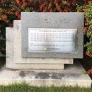 비석태양광발전소 이미지